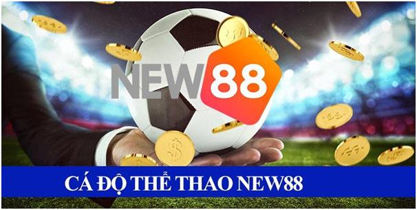 Cập nhật tin nhanh bóng đá mỗi ngày với những diễn biến hấp dẫn nhất